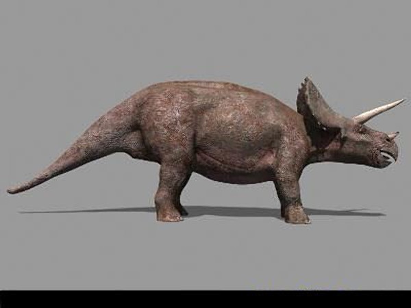 jp triceratops 3d obj - True Jp Triceratops Obj by Virtual creator
